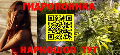 наркотики Гай