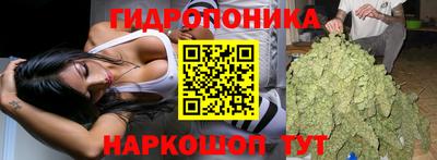 наркотики Гай