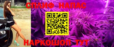 не бодяженный Гатчина