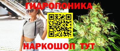 кокс Гагарин
