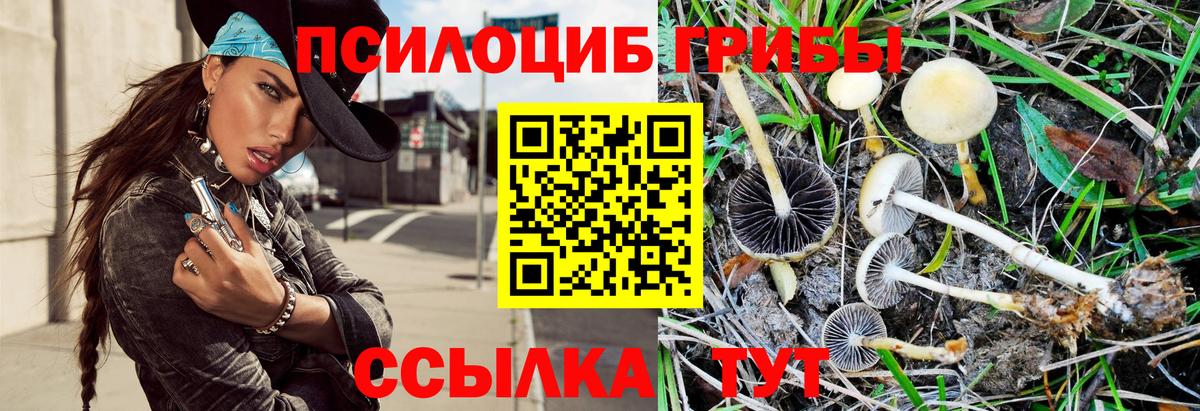 Псилоцибиновые грибы Magic Shrooms Малоярославец